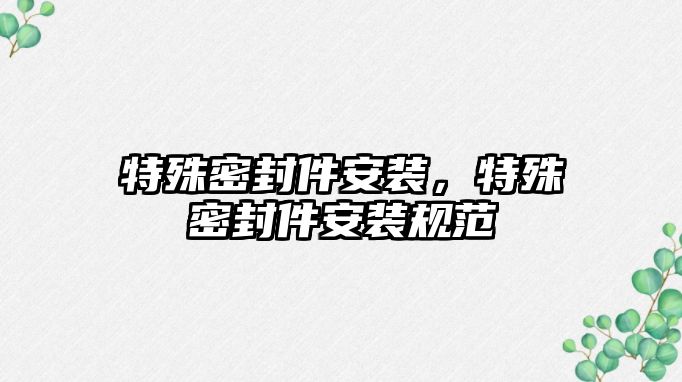 特殊密封件安裝，特殊密封件安裝規范